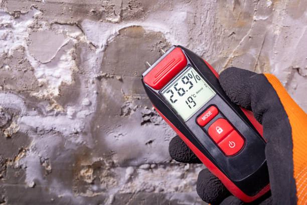 Best Industrial Mold Remediation in Chester, WV