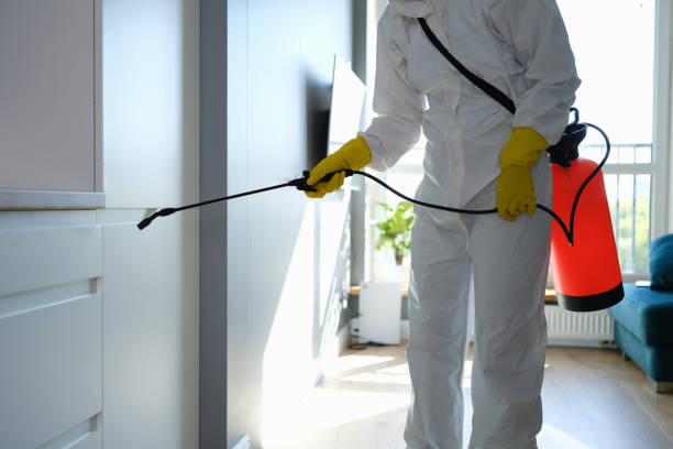 Best Residential Mold Remediation in Chester, WV