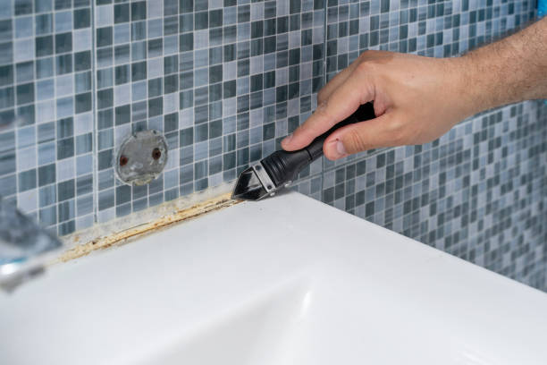 Best Health and Safety Mold Remediation in Chester, WV